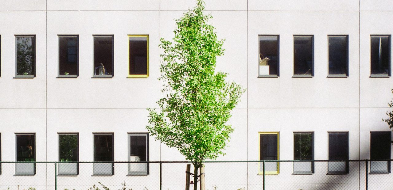 green home grant najemca