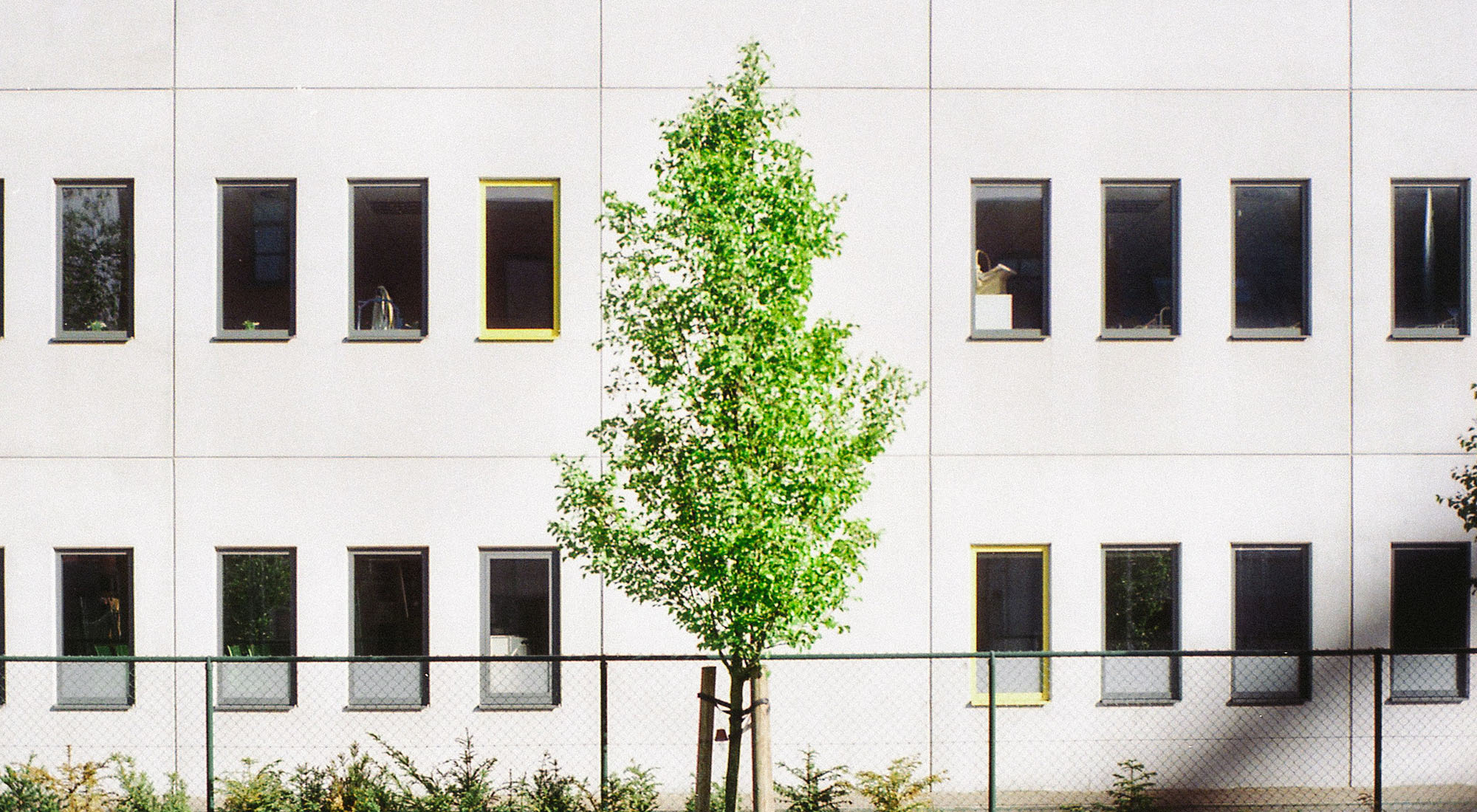 green home grant najemca